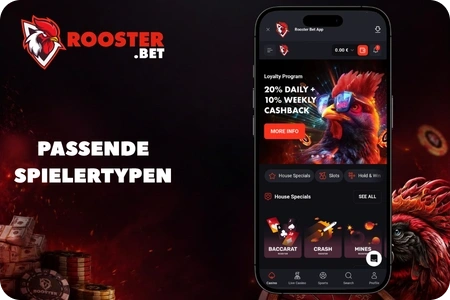 Passende Spielertypen für RoosterBett Sportwetten